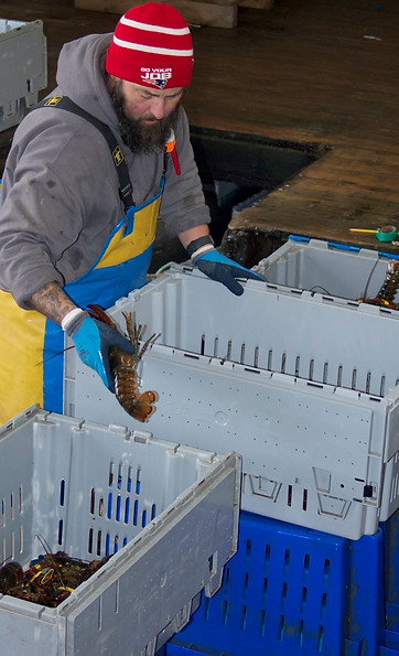 mountain fish house vendors